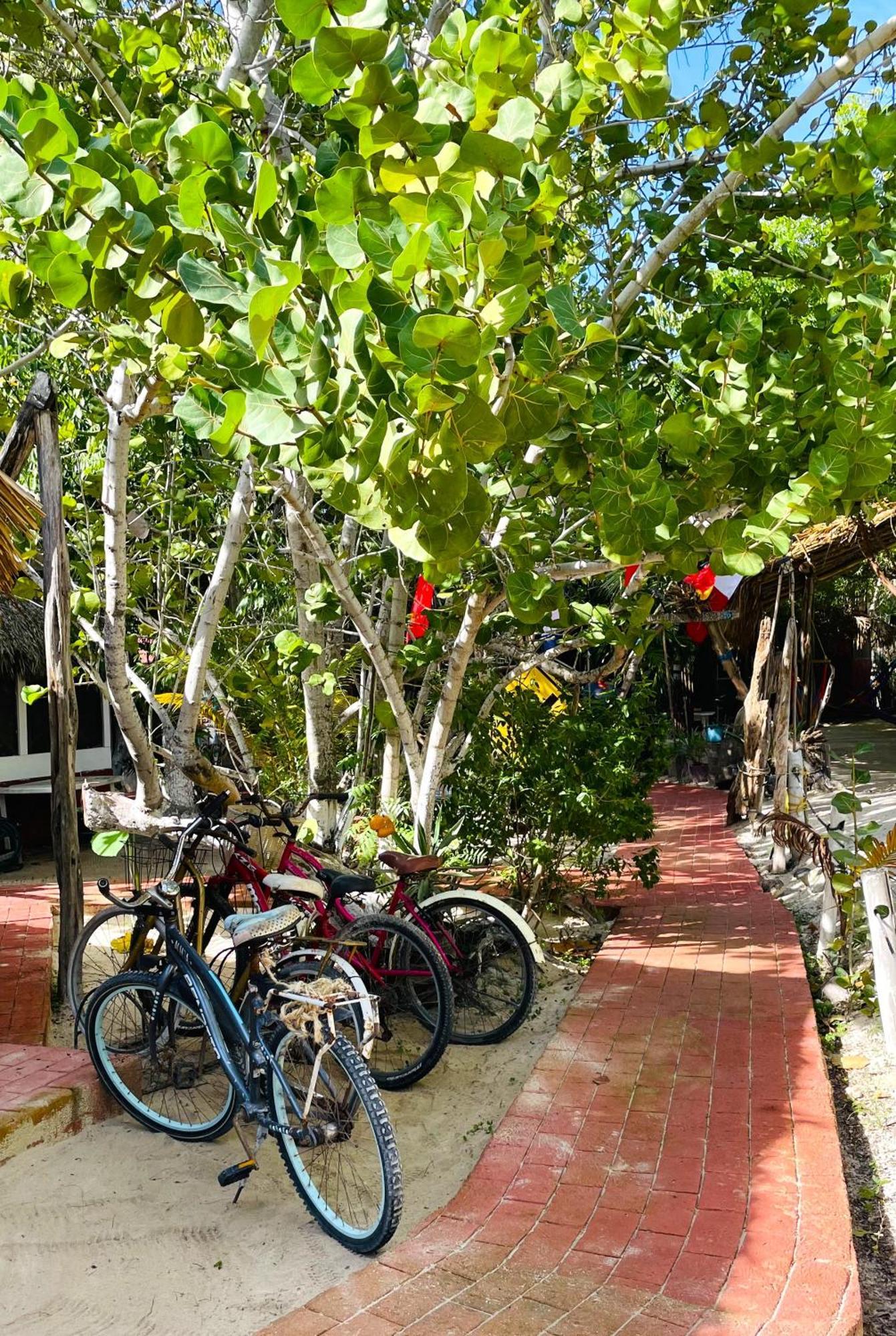 Casa Jade Ecobungalows Las Coloradas Yuluc Екстериор снимка